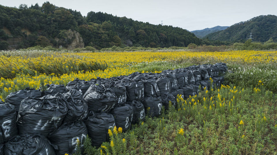 Le 11 mars, cela fera 10 ans qu'une catastrophe nucléaire majeure débutait avec la fusion de trois réacteurs de la centrale nucléaire de Fukushima-Daiichi, exploitée par TEPCO. Aujourd'hui, les victimes de la catastrophe continuent de se battre pour faire valoir leurs droits et porter leur cause à une échelle internationale. Greenpeace leur donne la parole à travers une série de témoignages.